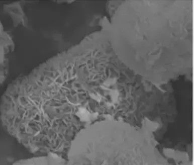 Mesoporous Molecular Sieve MCM-22 Zeolite